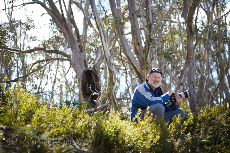 Vibrant Imaging landscape photo